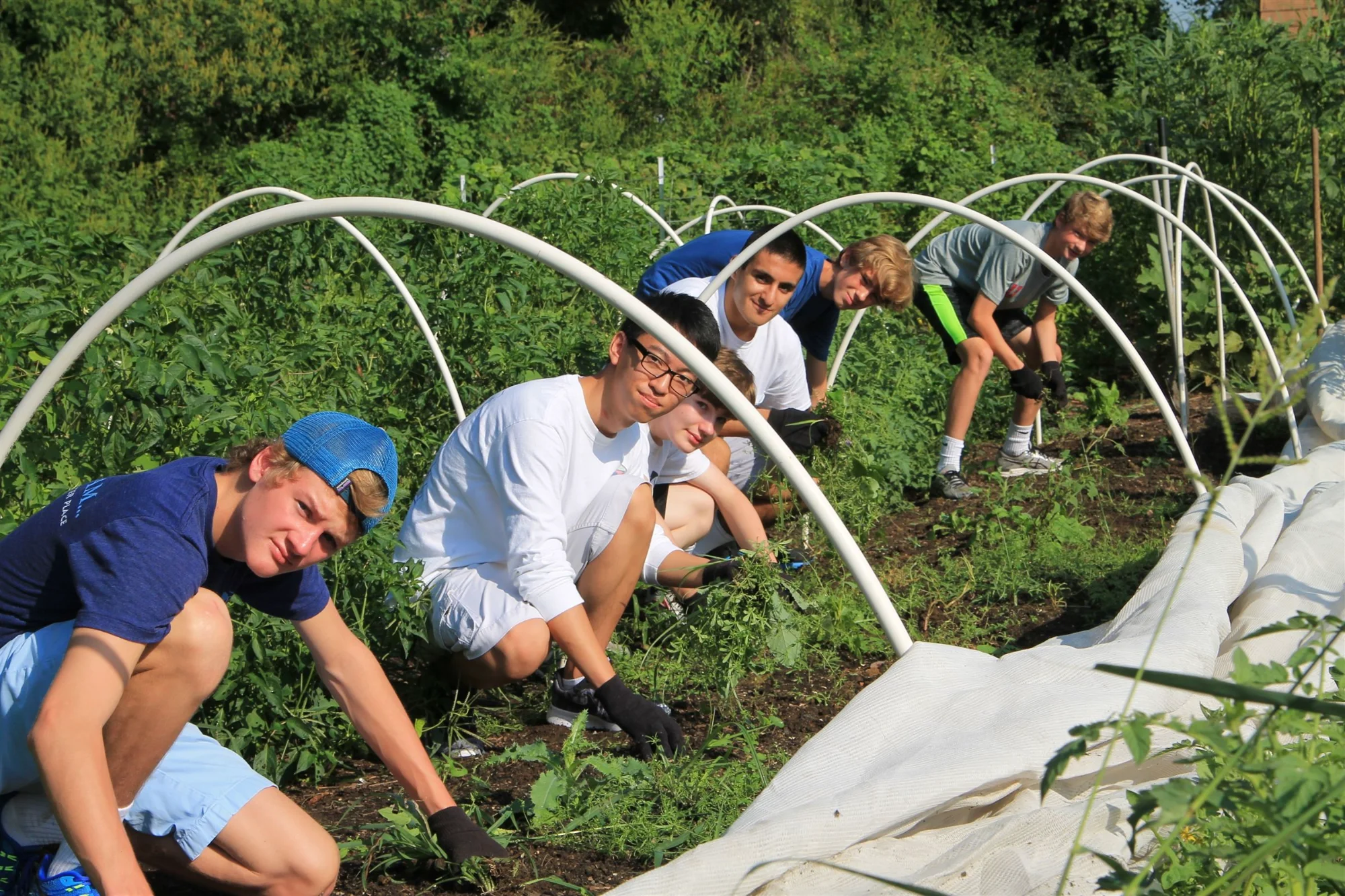 MUS students tending to a garden.