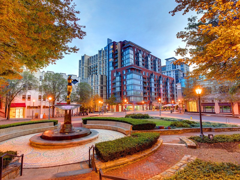 Here’s what to do in Montgomery County this week